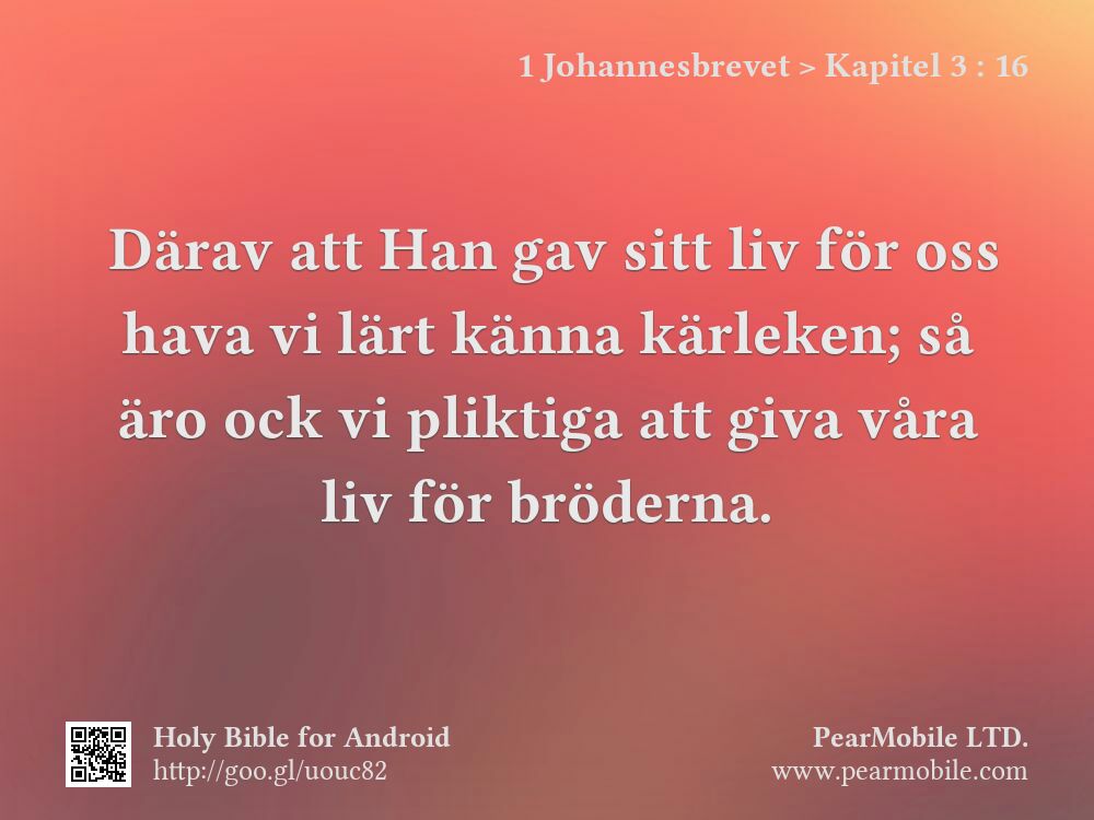 1 Johannesbrevet, Kapitel 3:16